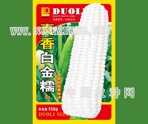 真香白金糯